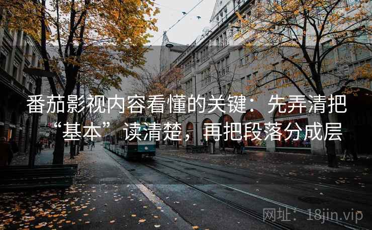 番茄影视内容看懂的关键：先弄清把“基本”读清楚，再把段落分成层