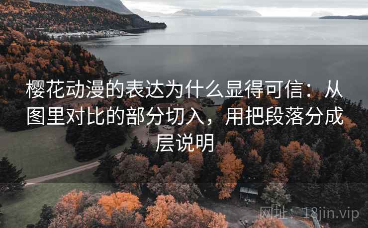 樱花动漫的表达为什么显得可信:从图里对比的部分切入,用把段落分成层说明 樱花动漫的表达为什么显得可信:从图里对比的部分切入,用把段落分成层说明